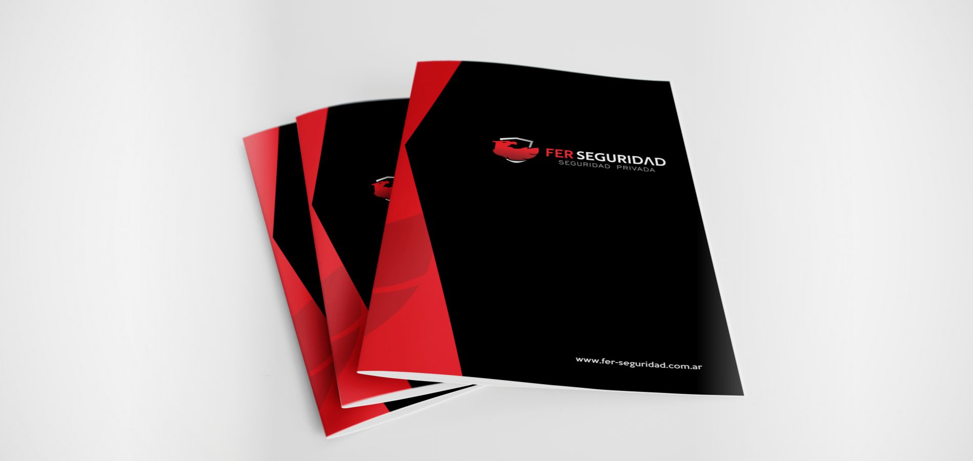 Fer Seguridad